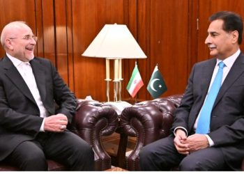 Iranian Parliamentary delegation calls on Ayaz Sadiq