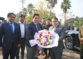 Autumn-blooming daisy exhibition opens at Allama Iqbal Park