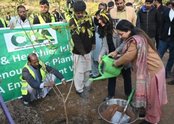 Science-based tree drive slashes pollen allergies in Islamabad