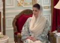 CM Maryam reviews investment plans with Chinese delegation, 18,000 jobs expected