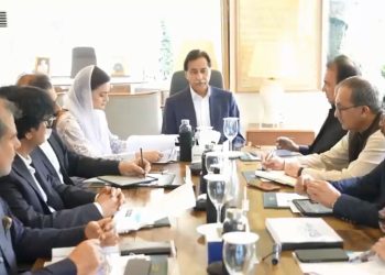 Ayaz, Marriyum Aurangzeb discuss development initiatives across punjab