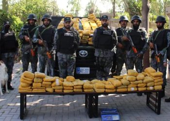 CNF foils major drug smuggling bid on M-4 Motorway, seizes 376kg hashish